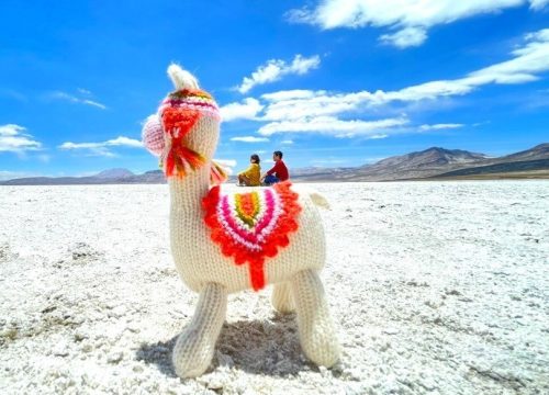 RESERVA NACIONAL DE SALINAS FULL DAY