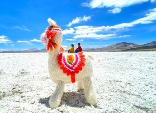 RESERVA NACIONAL DE SALINAS Y AGUADA BLANCA FULL DAY