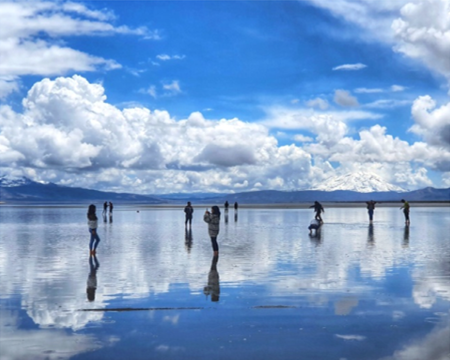 RESERVA NACIONAL DE SALINAS MEDIO DIA